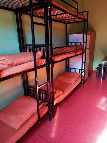 Кровать в общем номере для мужчин в Хостеле Вежливый лось на Бунинской аллее